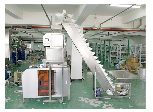 自动化蚕豆食品包装机械
