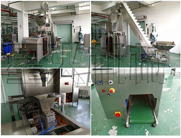  自动化葡萄干食品包装机械/全自动小型葡萄干包装生产线